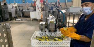 بومرداس: نحو 5 مليارات دينار عائدات التصدير خلال السداسي الأول لسنة 2024