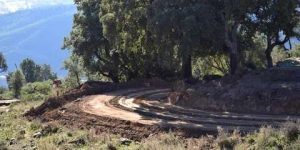 سيدي بلعباس.. تسليم 24 رخصة استغلال لاستصلاح الأراضي التابعة للأملاك الغابية