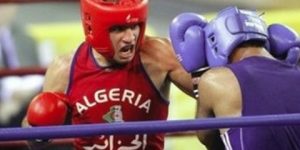 في البطولة العربية للأواسط.. المنتخب الوطني للملاكمة يحرز المركز الثاني