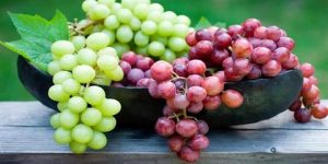 صحتنا في غذائنا.. اكتشاف فائدة مذهلة للعنب يحتاجها جسمك بشدة