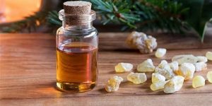 صحتنا في غذائنا.. اللبان الدكر مفيد لطرد البلغم وتنظيف القولون- حقيقة أم خرافة؟