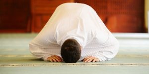 ولقد كرمنا بني آدم