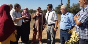 البليدة.. الشروع في التعويض العيني لـ 150 فلاحا متضررا من الجفاف