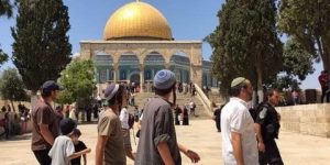 مستوطنون يواصلون اقتحام الأقصى بخامس أيام “عيد العرش”