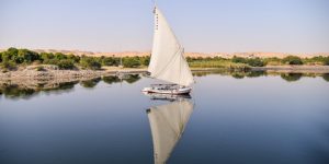 سنريهم آياتنا في الآفاق.. الفروع القديمة لنهر النيل