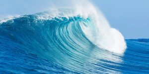 سنريهم آياتنا في الآفاق.. المحيط