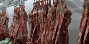 البليدة.. إعادة تهيئة كافة المذابح البلدية وفقا للمعايير الحديثة