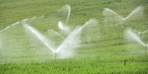 بعد دخول محيط السقي لسهل الشلف الأوسط حيز الخدمة.. الفلاحون يتنفسون الصعداء