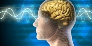 الدماغ أقوى من أقوى كمبيوتر في العالم.. 22  معلومة لا تعرفها عن جسمك