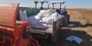 عين الدفلى.. استفادة 7900 فلاح متضرر من الجفاف من بذور وأسمدة مجانية