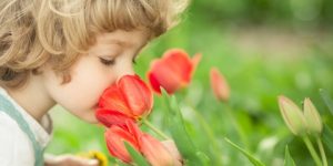 سنريهم آياتنا في الآفاق.. حاسة الشم عند الإنسان