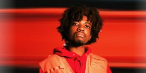 يعرض أسماء شهداء أطفال غزة في حفله..“ريدفيل” يهتف بحرية فلسطين