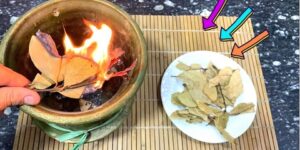 لهذه الأسباب.. عليكم حرق ورق الغار في المنزل!