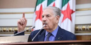 قوجيل يسلط الضوء على أهمية مظاهرات 11 ديسمبر في تاريخ الجزائر والسيادة الوطنية