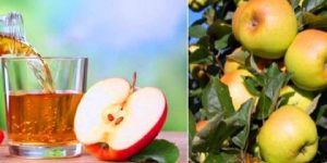 صحتنا في غذائنا.. تفاحة واحدة في اليوم لا تكفي لإبعاد الطبيب.. بل تفاحتان