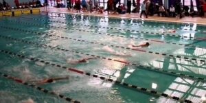 مهرجان الشباب للسباحة لفئة البراعم ..سباحو المولودية يحرزون لقب المرحلة الأولى 