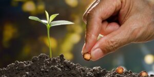 وَمَا خَلَقْتُ الْجِنَّ وَالْإِنْسَ إِلَّا لِيَعْبُدُونِ