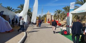 الوادي.. مشاركة 85 عارضا في الصالون الوطني السابع للفلاحة الصحراوية «أقرو سوف»