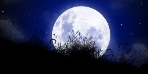 سنريهم آياتنا في الآفاق.. اختلاف الليل والنهار