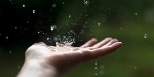 سنريهم آياتنا في الآفاق.. وأنزلنا من السماء ماء بقدر