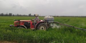 وهران.. أزيد من 23 ألف هكتار من الأراضي لإنتاج الحبوب