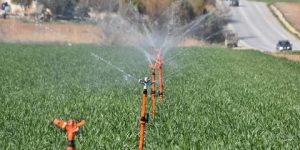 معسكر.. تخصيص حصة إضافية ب 5 مليون متر مكعب من المياه لمحيط سهل الهبرة المسقي