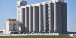 تلمسان.. 8 مراكز جوارية لتخزين الحبوب قريبا