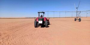 جانت.. 89 هكتارا موجهة لزراعة الحبوب