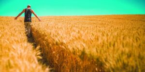 امض في طريقك