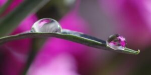 سنريهم آياتنا في الآفاق.. وَيُنَزِّلُ عَلَيْكُمْ مِنَ السَّمَاءِ مَاءً