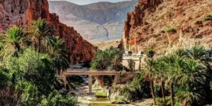 بسكرة.. تنوع مقومات السياحة الصحراوية عامل للجذب السياحي