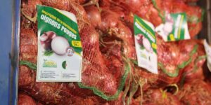 تم إنتاجها على مستوى ولاية معسكر.. الجزائر تصدر أزيد من 5 آلاف قنطار من البصل الجاف إلى كل من تونس وليبيا