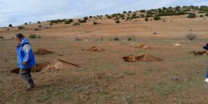 باتنة.. رهان على المناطق الغابية لتوسيع زراعة الأشجار المثمرة