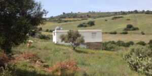 بني صميل بتلمسان.. 60 مليون دينار لتهيئة تجزئات خاصة بالبناء الريفي