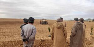 تيسمسيلت.. منح الأراضي الفلاحية غير المستغلة للشباب خريجي الجامعة