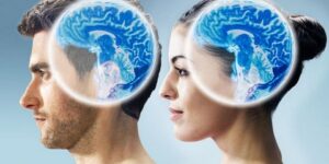 لماذا يختلف دماغ الرجل عن المرأة؟.. علماء يجيبون