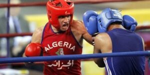 بيستو ارسيزيو 2024.. الجزائر تشارك في الطبعة الدولية للملاكمة