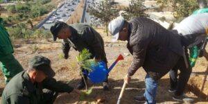 مواصلة عمليات التشجير على مستوى ولاية الجزائر تحت شعار”معا من أجل بيئة نظيفة”