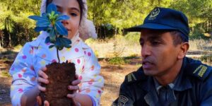 برمجة غراسة أزيد من مليون و300 ألف شجيرة بتبسة