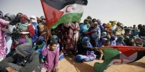 وكالة الأنباء الصحراوية تحتفي بمرور ربع قرن من المرافعة عن حقوق الشعب الصراوي