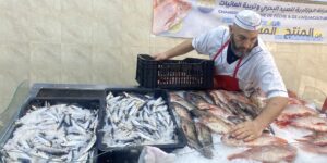 سطيف.. الشروع في تسويق سمك السردين المستورد بسعر 500 دج