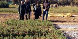 الجلفة تطلق غراسة نموذجية لإنتاج شتلات شجرة الأرقان