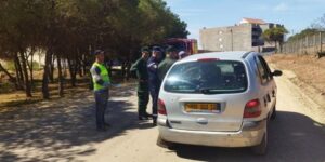 سطيف.. برمجة 50 عملية جوارية وتحسيسية للوقاية من حرائق الغابات وحماية النظام الإيكولوجي