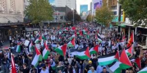 نيوزيلندا: الكارثة في غزة يجب أن تنتهي فورا