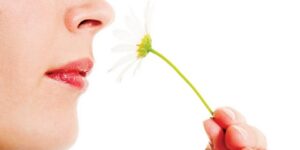 حقائق عن حاسة الشم لديك… قد تجعلك تعيد الاهتمام بها