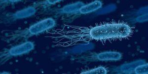 أخبار الصحة.. علامات تكشف شفائك من جرثومة المعدة