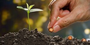 فَإِذَا فَرَغْتَ فَانصَبْ