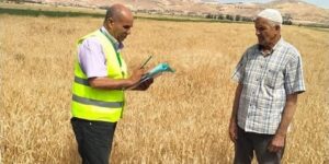 تيسمسيلت: عملية الإحصاء العام للفلاحة شملت لحد الآن أكثر من 3100 مستثمرة