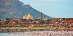 وهران.. الشروع قريبا في انجاز القرية العلمية ببحيرة “ضاية مرسلي”