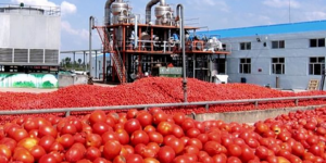 سكيكدة.. امتيازات في انتظار الفلاحين